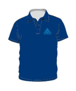 Koszulka z kołnierzykiem Impolo