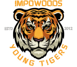Koszulka Young tigers - IMPOWOODS