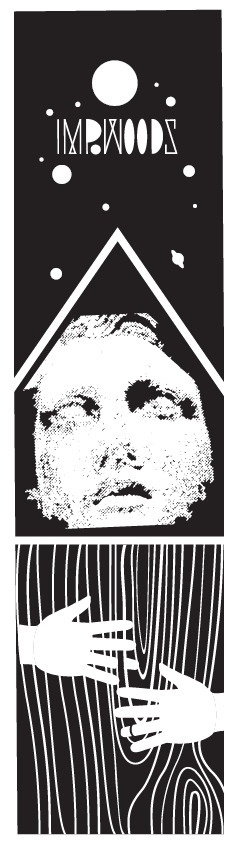 Premium Skateboard Poolbomber 1- 8.75- Made in Poland